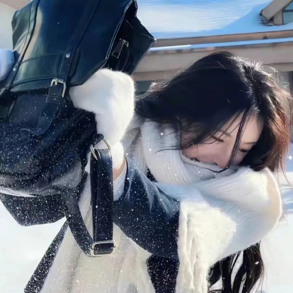 情来.算尽爱